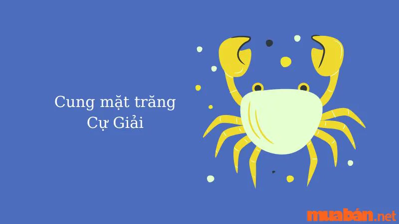 Cung Mặt Trăng Là Gì? Cách Tìm Moon Sign Và Ý Nghĩa 12 Moon Sign