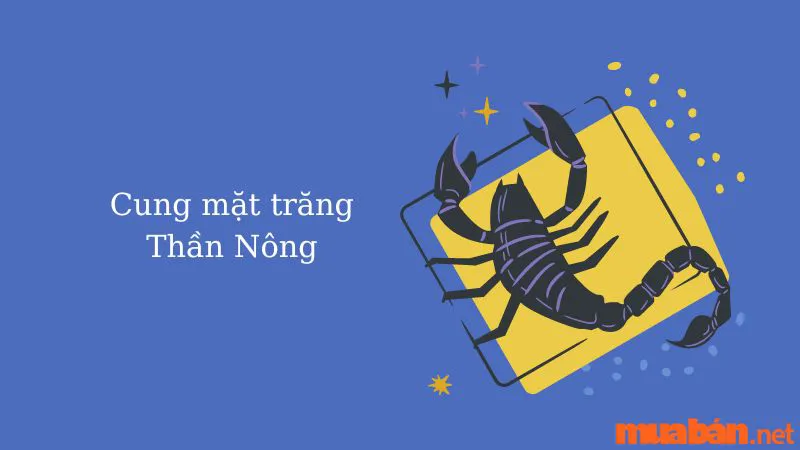 Cung Mặt Trăng Là Gì? Cách Tìm Moon Sign Và Ý Nghĩa 12 Moon Sign