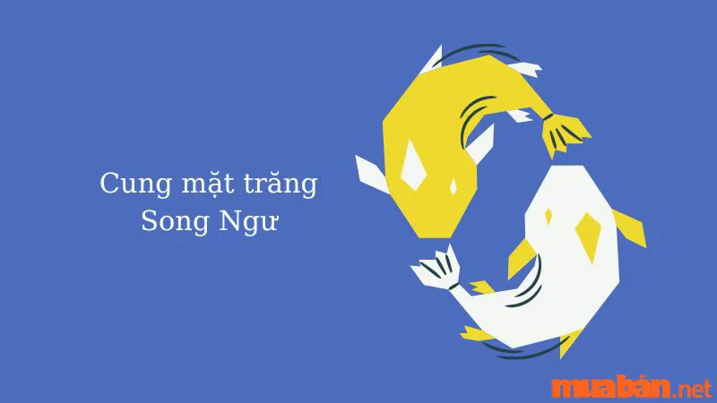 Cung Mặt Trăng Là Gì? Cách Tìm Moon Sign Và Ý Nghĩa 12 Moon Sign