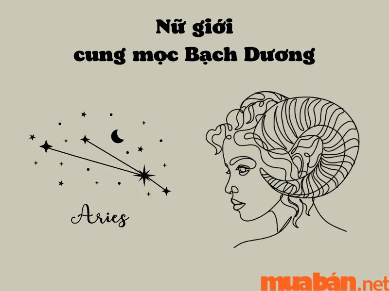 Cung Mọc Bạch Dương Và 12 Sự Thật Thú Vị Có Thể Bạn Chưa Biết