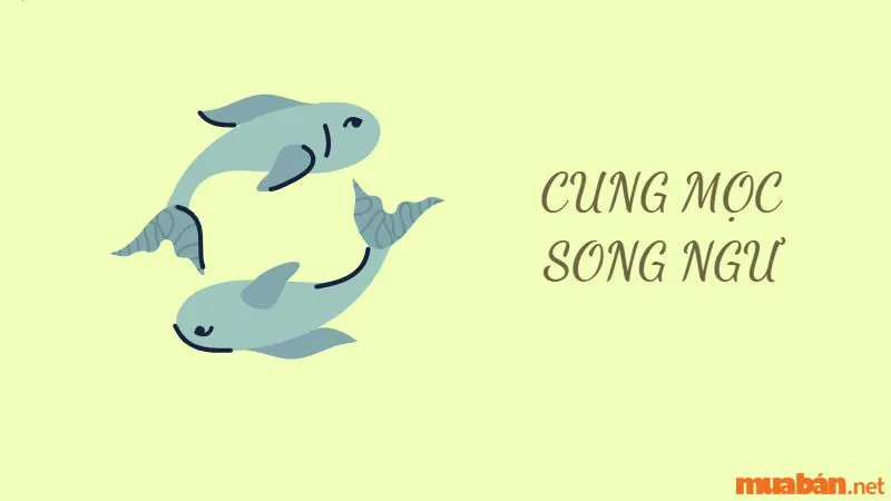 Cung Mọc Song Ngư Và 7 Sự Thật Thú Vị Có Thể Bạn Chưa Biết