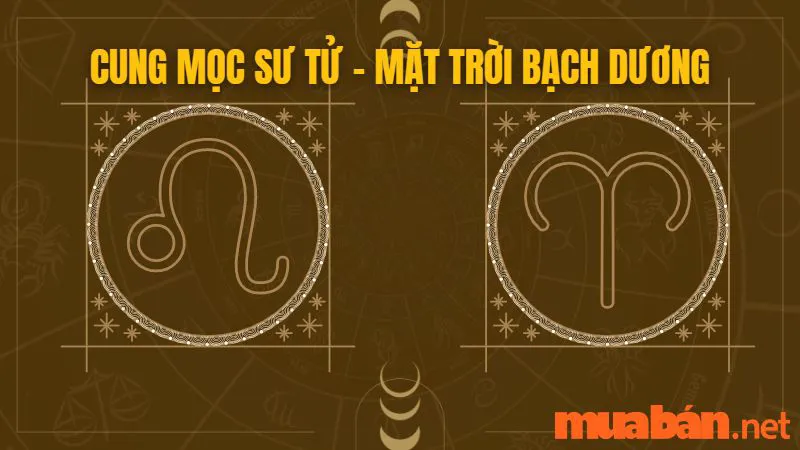 Cung Mọc Sư Tử Và 10 Sự Thật Thú Vị Có Thể Bạn Chưa Biết