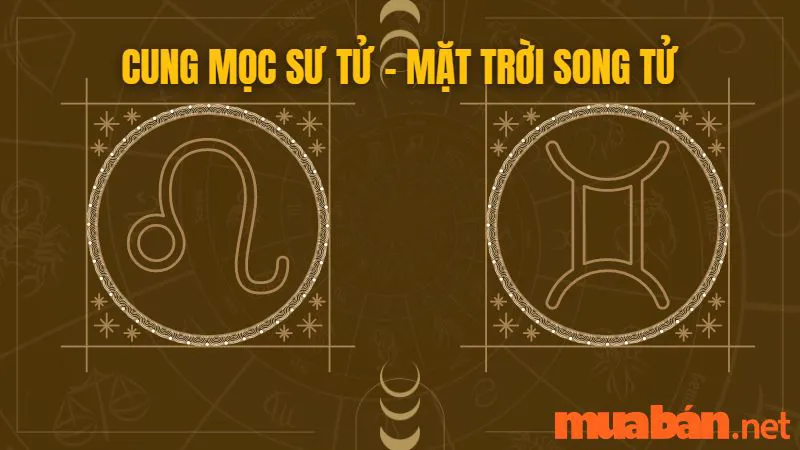 Cung Mọc Sư Tử Và 10 Sự Thật Thú Vị Có Thể Bạn Chưa Biết