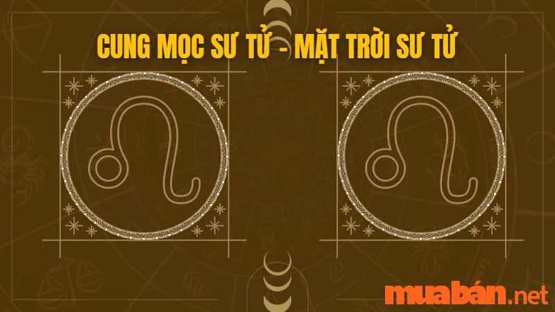 Cung Mọc Sư Tử Và 10 Sự Thật Thú Vị Có Thể Bạn Chưa Biết