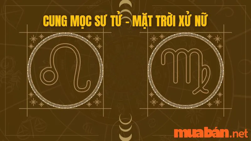 Cung Mọc Sư Tử Và 10 Sự Thật Thú Vị Có Thể Bạn Chưa Biết