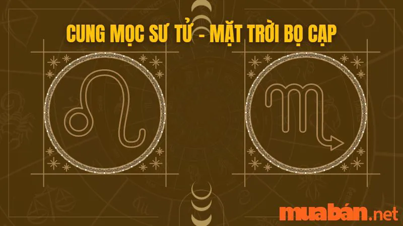 Cung Mọc Sư Tử Và 10 Sự Thật Thú Vị Có Thể Bạn Chưa Biết