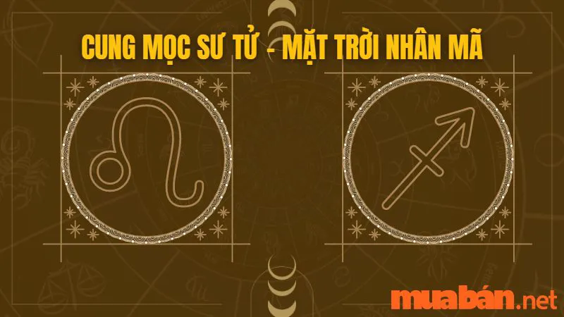 Cung Mọc Sư Tử Và 10 Sự Thật Thú Vị Có Thể Bạn Chưa Biết