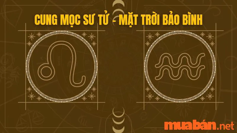 Cung Mọc Sư Tử Và 10 Sự Thật Thú Vị Có Thể Bạn Chưa Biết