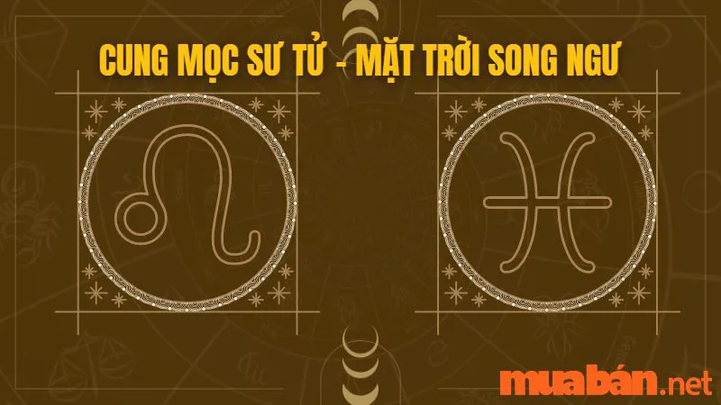 Cung Mọc Sư Tử Và 10 Sự Thật Thú Vị Có Thể Bạn Chưa Biết