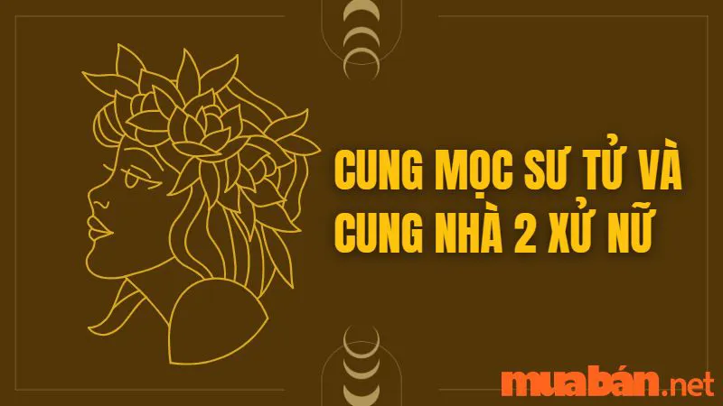 Cung Mọc Sư Tử Và 10 Sự Thật Thú Vị Có Thể Bạn Chưa Biết