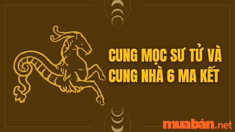 Cung Mọc Sư Tử Và 10 Sự Thật Thú Vị Có Thể Bạn Chưa Biết