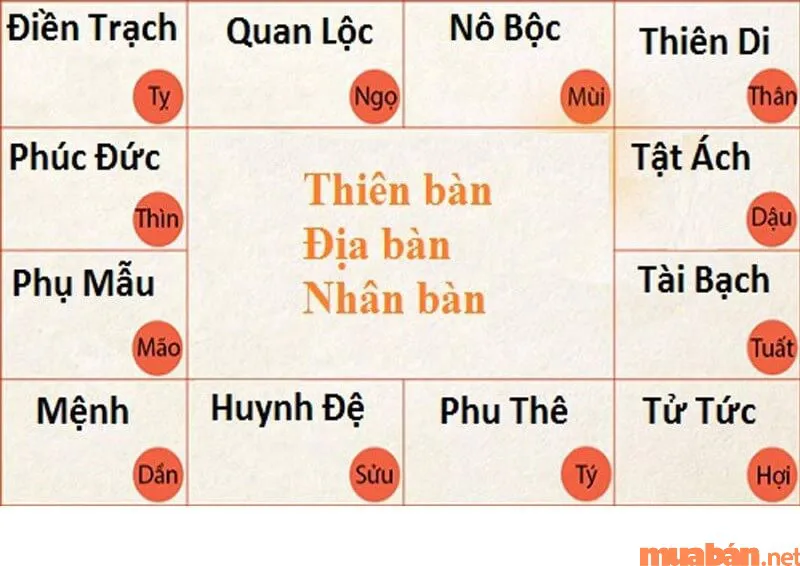 Cung Nô Bộc là gì? Luận giải ý nghĩa cung Nô Bộc trong tử vi