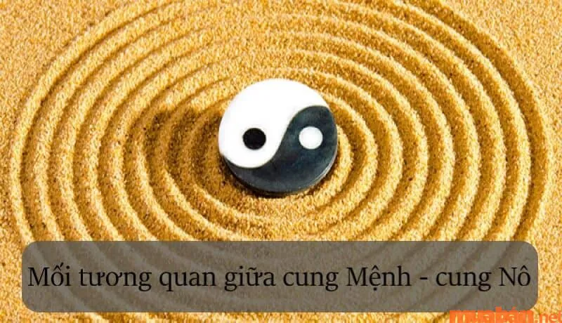 Cung Nô Bộc là gì? Luận giải ý nghĩa cung Nô Bộc trong tử vi