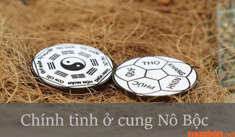 Cung Nô Bộc là gì? Luận giải ý nghĩa cung Nô Bộc trong tử vi