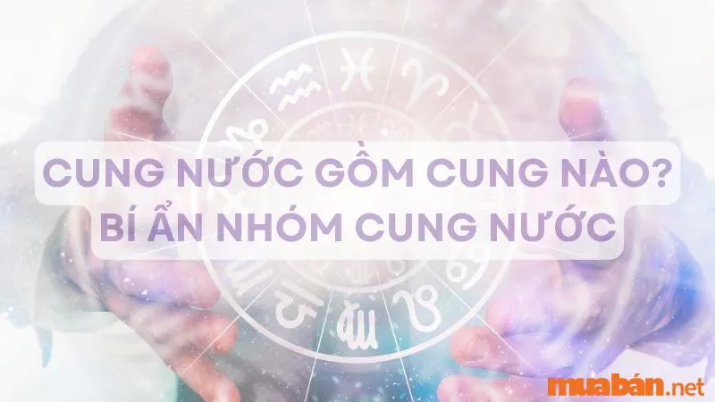 Cung Nước Gồm Cung Nào? Tiết Lộ Đặc Điểm Tính Cách Cung Nước