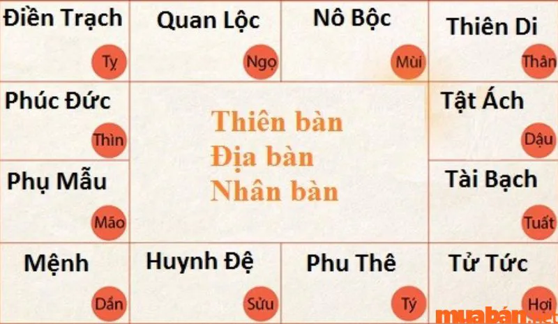 Cung Tật Ách là gì? Tổng quan về sức khỏe, bệnh tật và tai họa