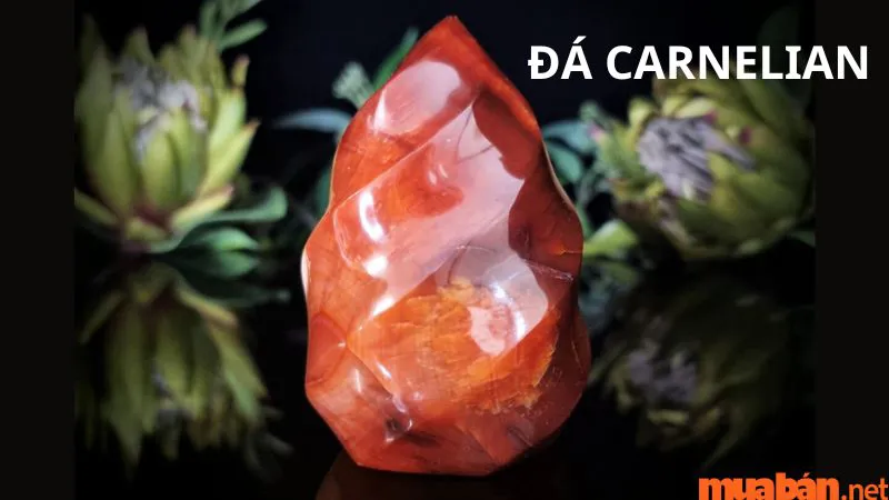 Đá Carnelian: Lịch sử, đặc tính và ý nghĩa phong thủy chuẩn xác nhất