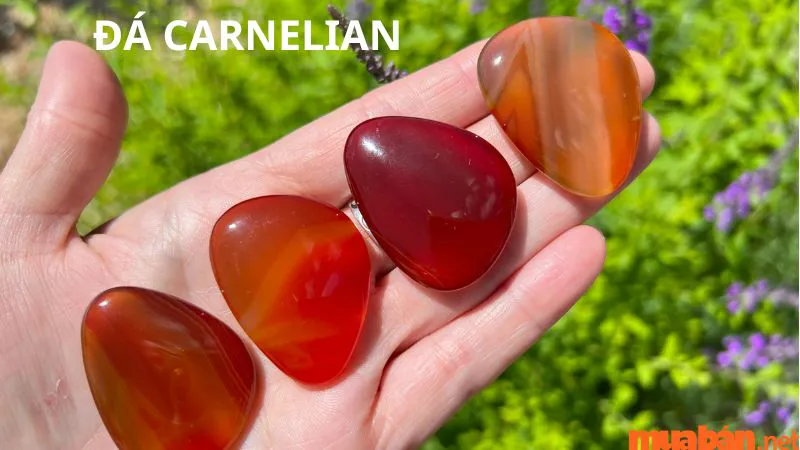 Đá Carnelian: Lịch sử, đặc tính và ý nghĩa phong thủy chuẩn xác nhất