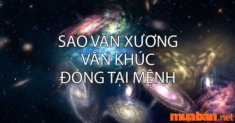 Đặc điểm và Ý nghĩa của Sao Văn Khúc trong Tử Vi