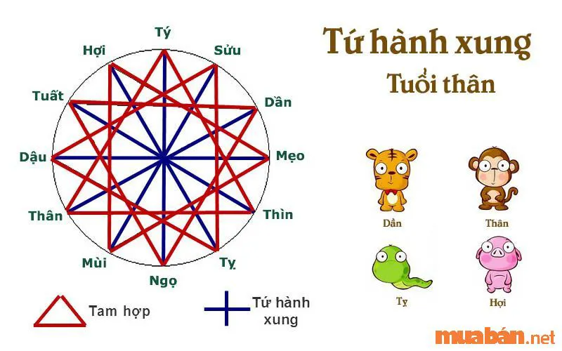 Dần Thân Tỵ Hợi tứ hành xung và cách hóa giải