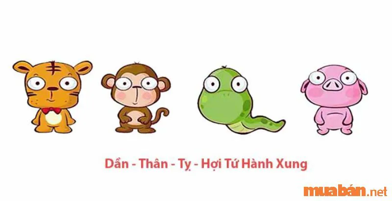 Dần Thân Tỵ Hợi tứ hành xung và cách hóa giải