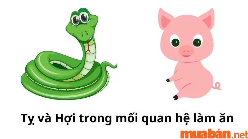 Dần Thân Tỵ Hợi tứ hành xung và cách hóa giải