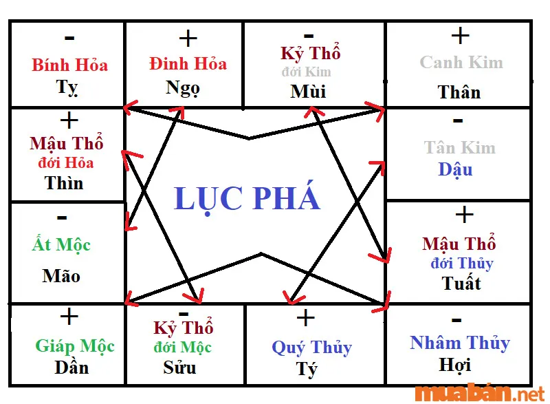 Địa chi là gì? Ý nghĩa của 12 địa chi trong phong thuỷ ngũ hành