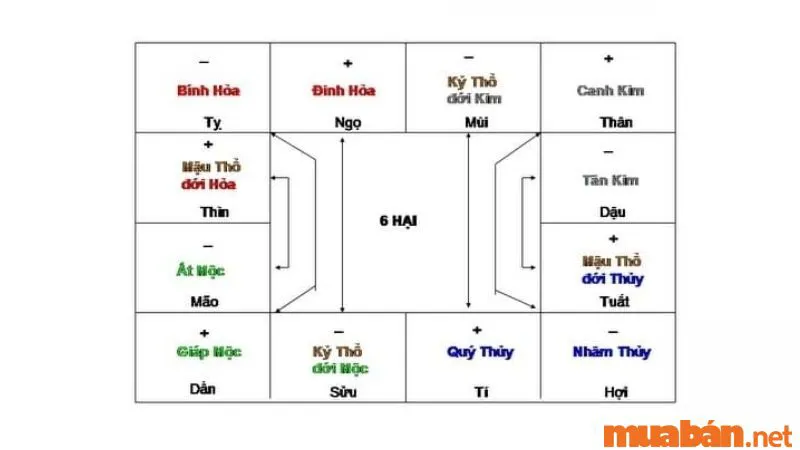 Địa chi là gì? Ý nghĩa của 12 địa chi trong phong thuỷ ngũ hành