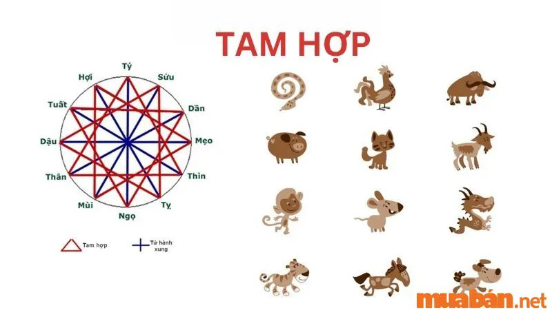 Địa chi là gì? Ý nghĩa của 12 địa chi trong phong thuỷ ngũ hành