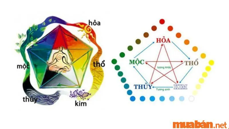 Địa chi là gì? Ý nghĩa của 12 địa chi trong phong thuỷ ngũ hành