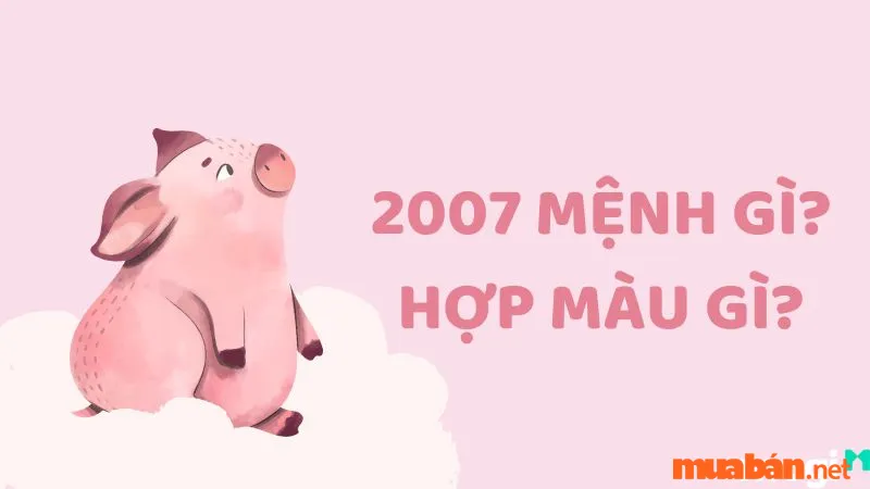 Đinh Hợi 2007 mệnh gì? Hợp và kỵ tuổi nào? Hướng nào tốt?