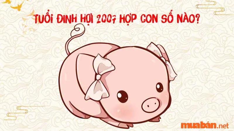 Đinh Hợi 2007 mệnh gì? Hợp và kỵ tuổi nào? Hướng nào tốt?