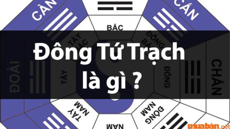 Đông Tứ Trạch là gì? Cách chọn hướng xây nhà hợp phong thủy