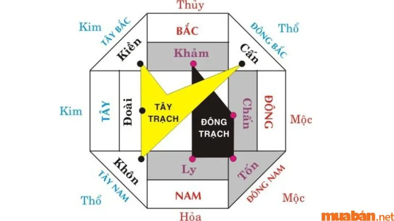 Đông Tứ Trạch là gì? Cách chọn hướng xây nhà hợp phong thủy