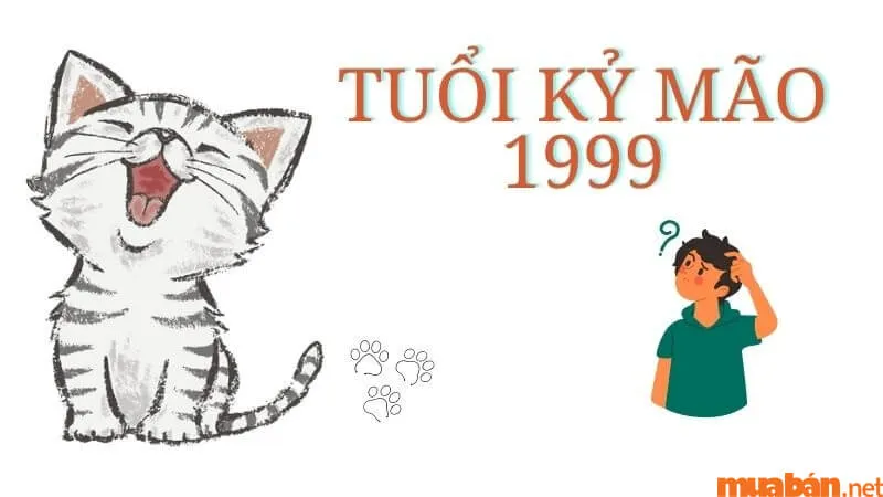 Giải đáp chi tiết tình duyên Kỷ Mão Nam 1999 lấy vợ tuổi gì hợp nhất?