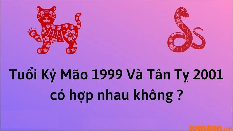 Giải đáp chi tiết tình duyên Kỷ Mão Nam 1999 lấy vợ tuổi gì hợp nhất?