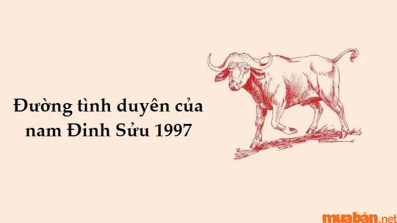 Giải đáp tình duyên Đinh Sửu Nam 1997 lấy vợ tuổi gì?