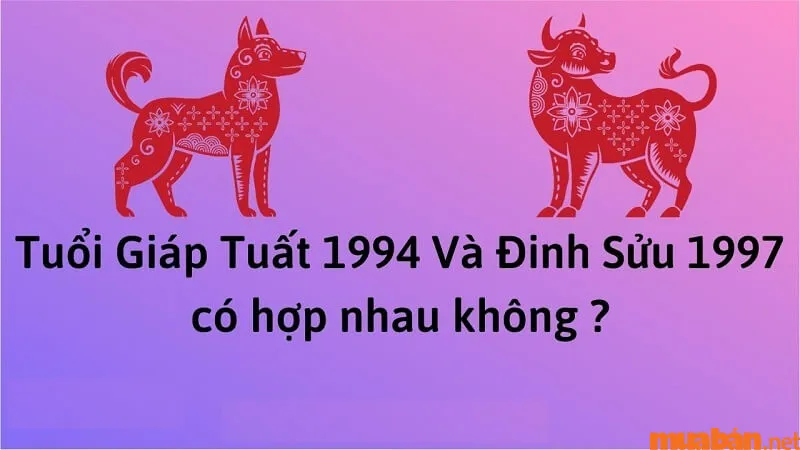 Giải đáp tình duyên Đinh Sửu Nam 1997 lấy vợ tuổi gì?