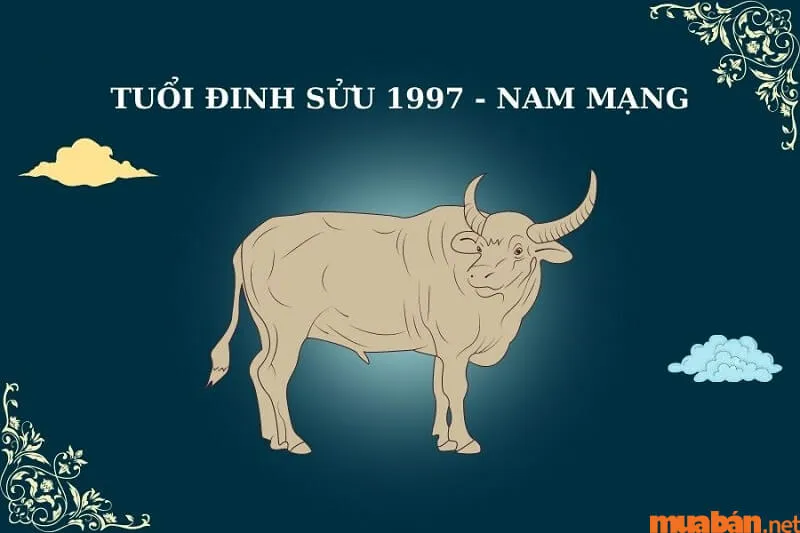 Giải đáp tình duyên Đinh Sửu Nam 1997 lấy vợ tuổi gì?