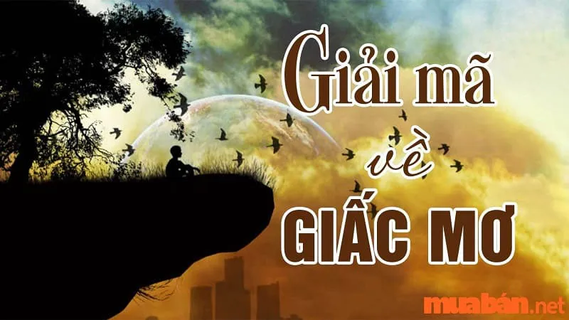 Giải Mã Chiêm Bao: Mơ Thấy Xây Nhà Mang Ý Nghĩa Gì? Cát Hay Hung?