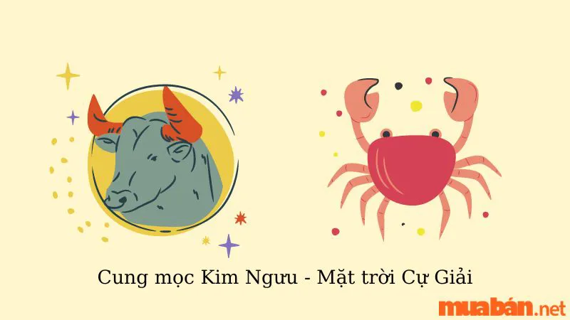 Giải Mã Cung Mọc Kim Ngưu Khi Kết Hợp Với 12 Cung Mặt Trời Trong Bản Đồ Sao