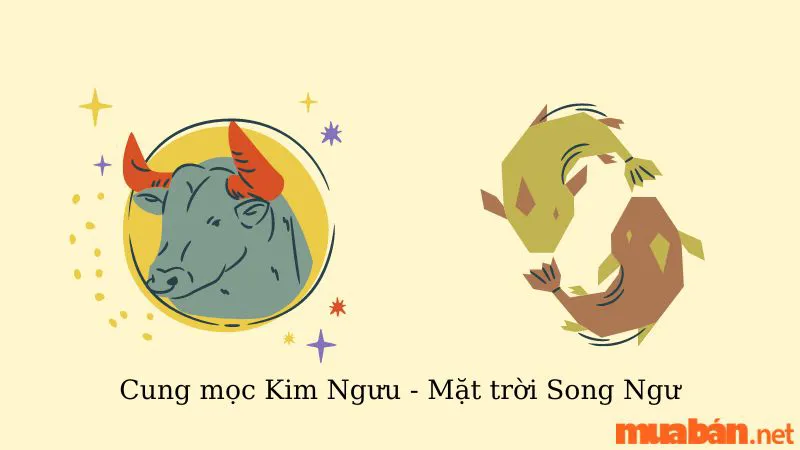 Giải Mã Cung Mọc Kim Ngưu Khi Kết Hợp Với 12 Cung Mặt Trời Trong Bản Đồ Sao