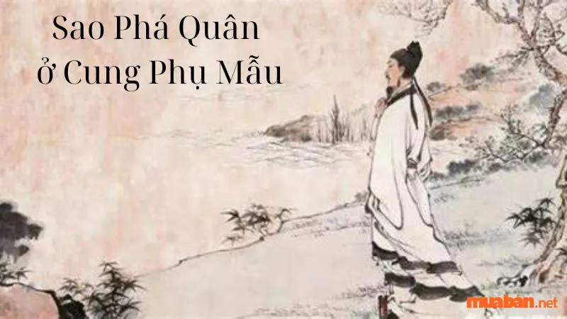 Giải mã mệnh Phá Quân – Ý nghĩa của sao Phá Quân chi tiết