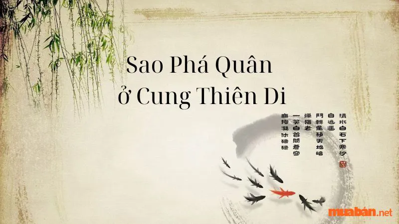 Giải mã mệnh Phá Quân – Ý nghĩa của sao Phá Quân chi tiết