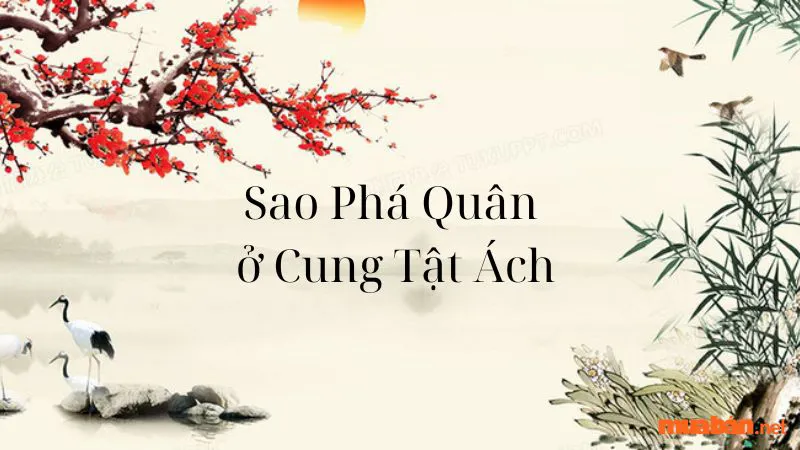 Giải mã mệnh Phá Quân – Ý nghĩa của sao Phá Quân chi tiết