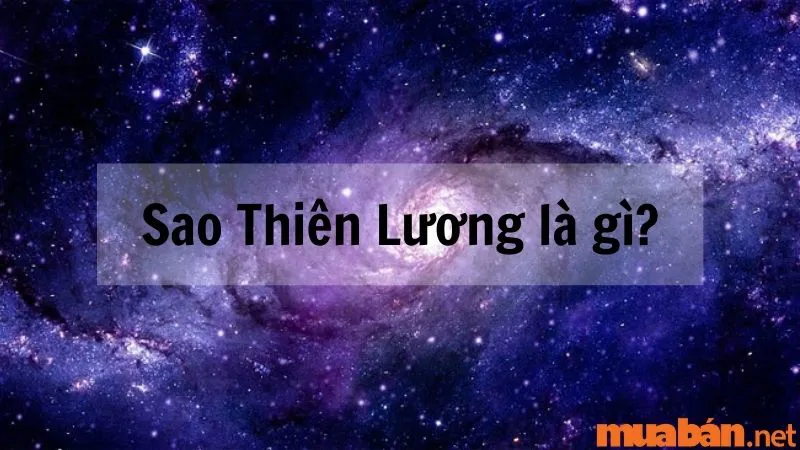 Giải mã sao Thiên Lương về ý nghĩa và tác động tại các cung