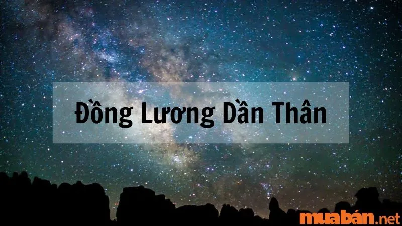 Giải mã sao Thiên Lương về ý nghĩa và tác động tại các cung