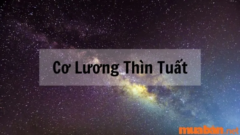 Giải mã sao Thiên Lương về ý nghĩa và tác động tại các cung