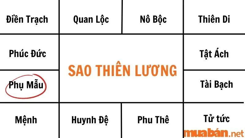 Giải mã sao Thiên Lương về ý nghĩa và tác động tại các cung