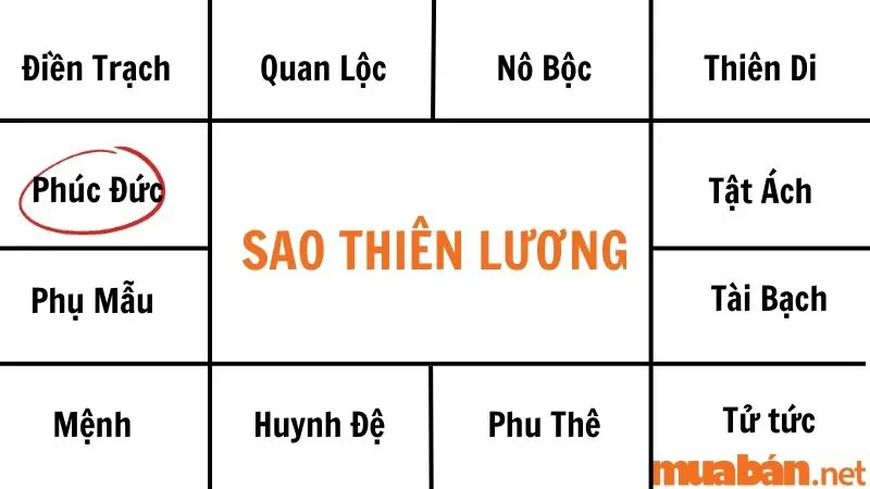 Giải mã sao Thiên Lương về ý nghĩa và tác động tại các cung